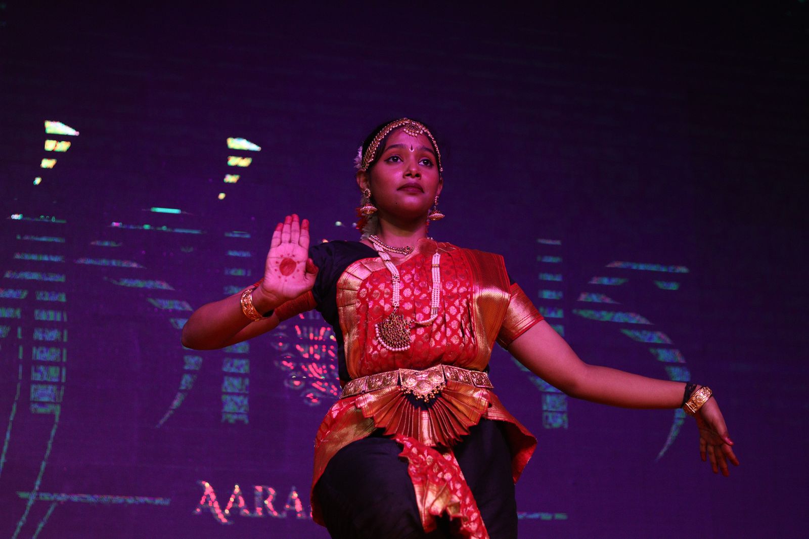 Visions Fest Slide 4